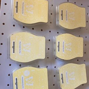 Scentsy piña colada cha-cha